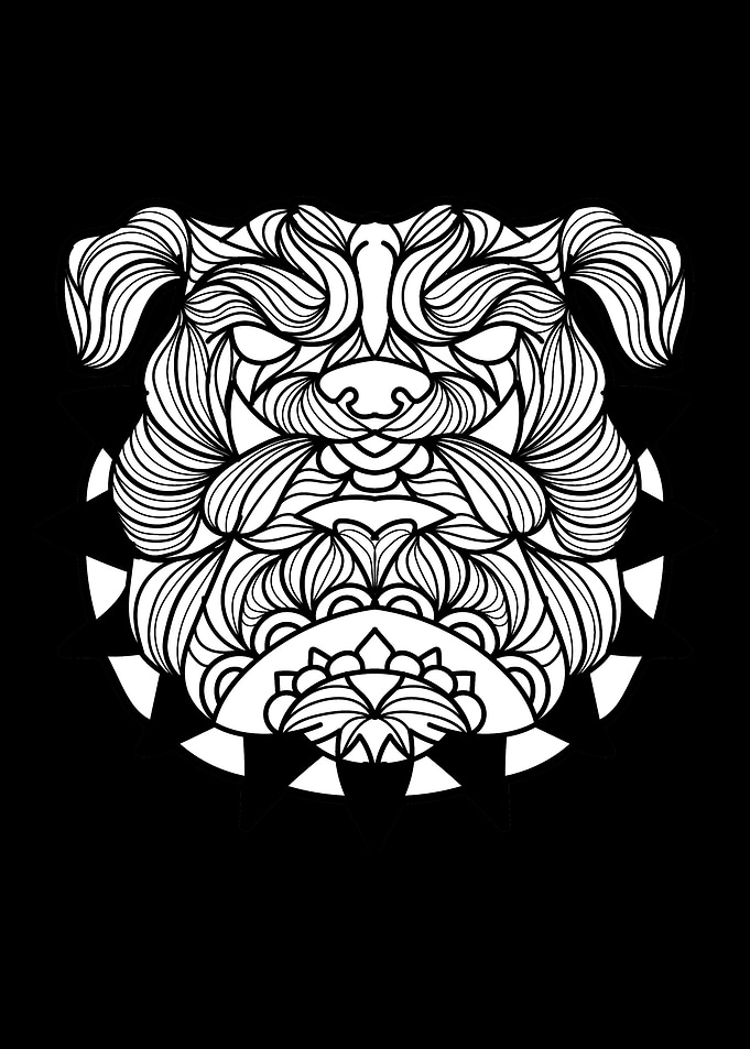 English Bulldog