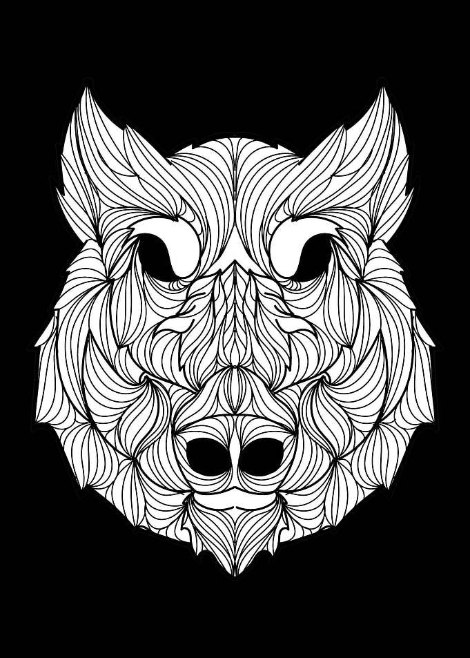 Wild Boar