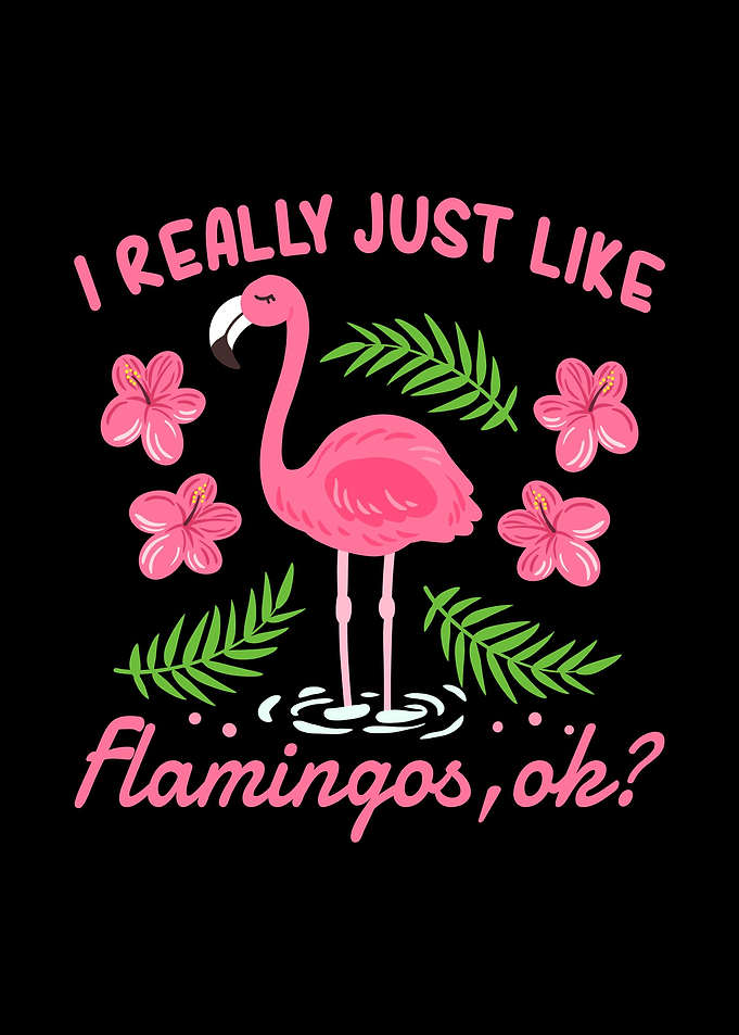 Flamingos Flamingo Lover