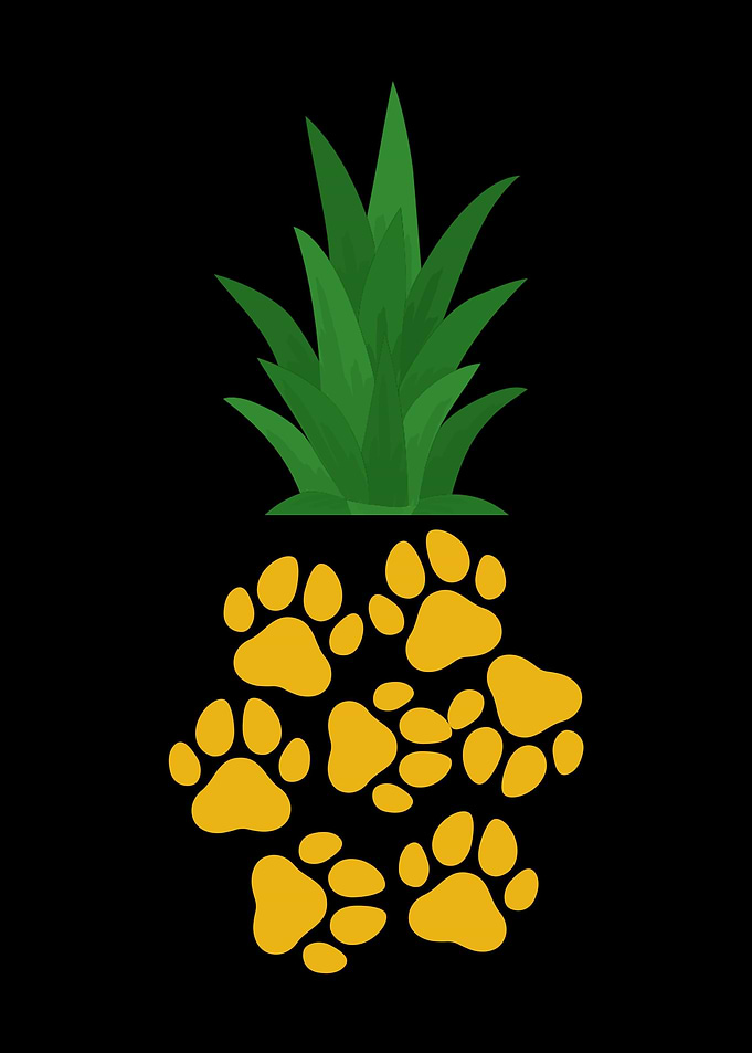 Dog Paw Pineapple