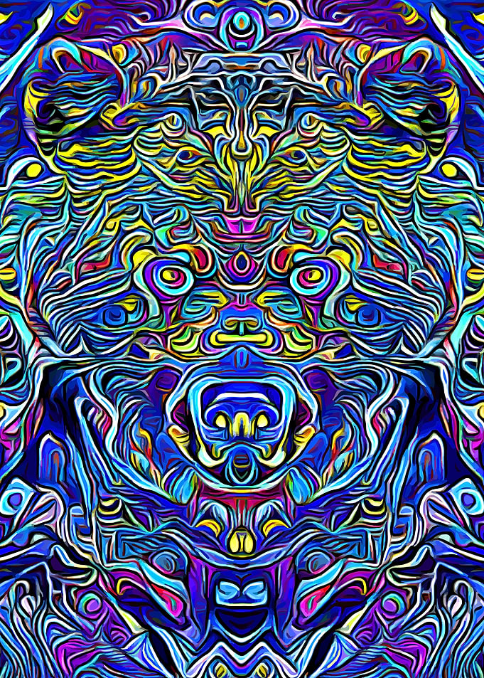 Bear Fantasy