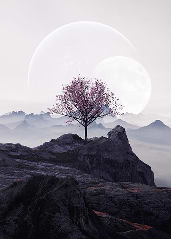 Botany of Mountains