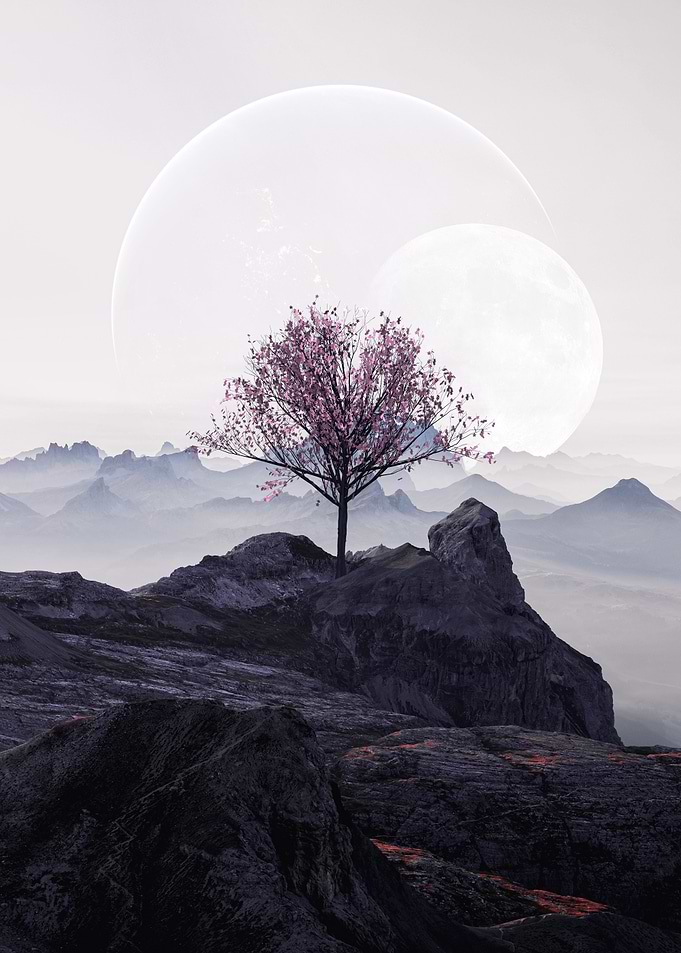 Botany of Mountains