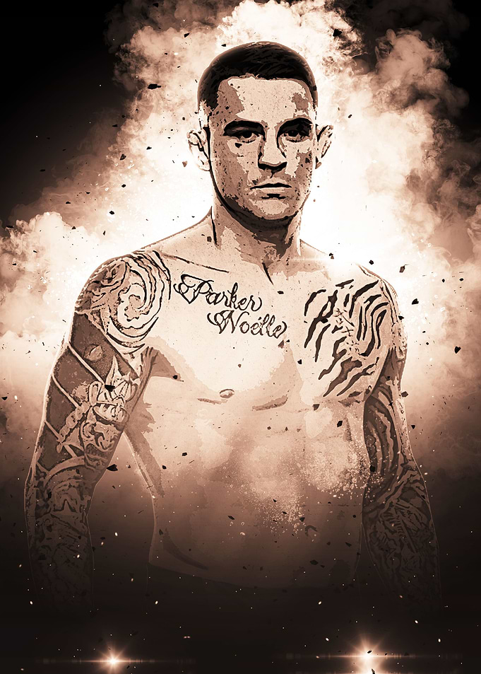 The Diamond Fighter