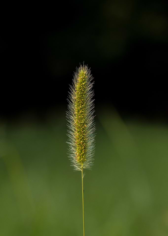 Point focus