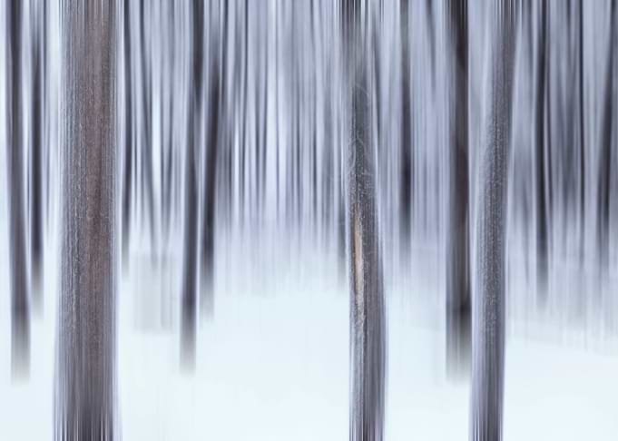 Winter Whispers Yukon