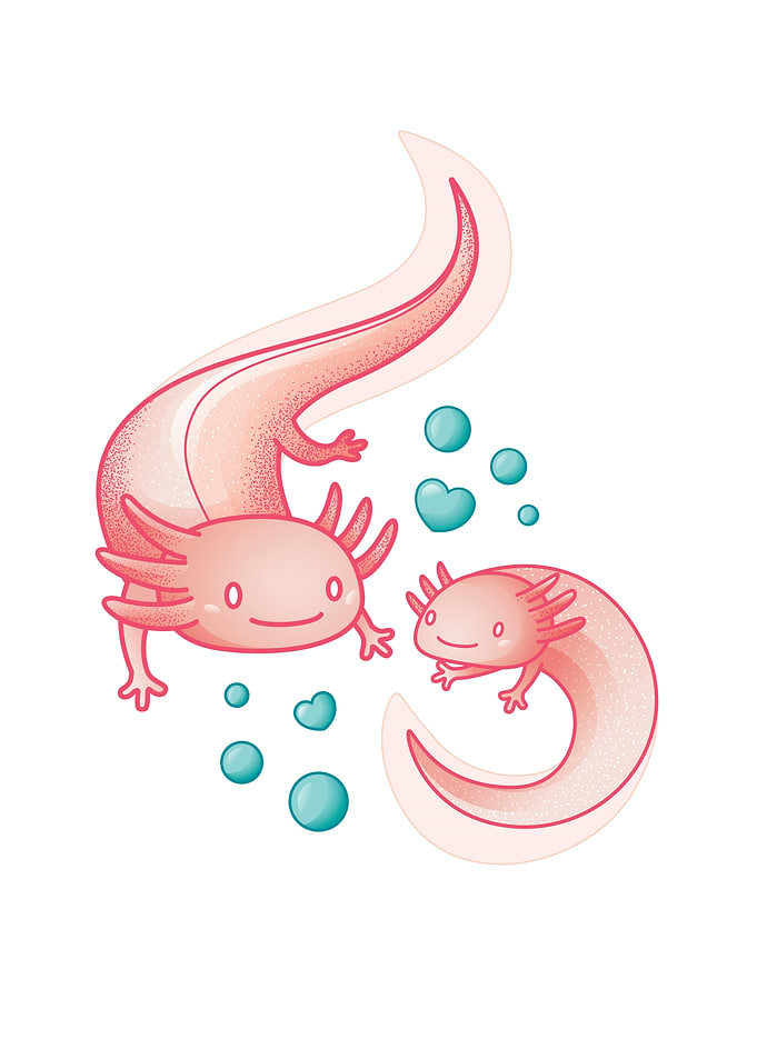 Cute Axolotls Kawai
