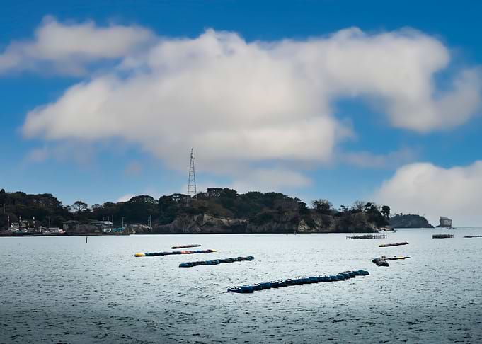Marine Aquaculture Scaffol