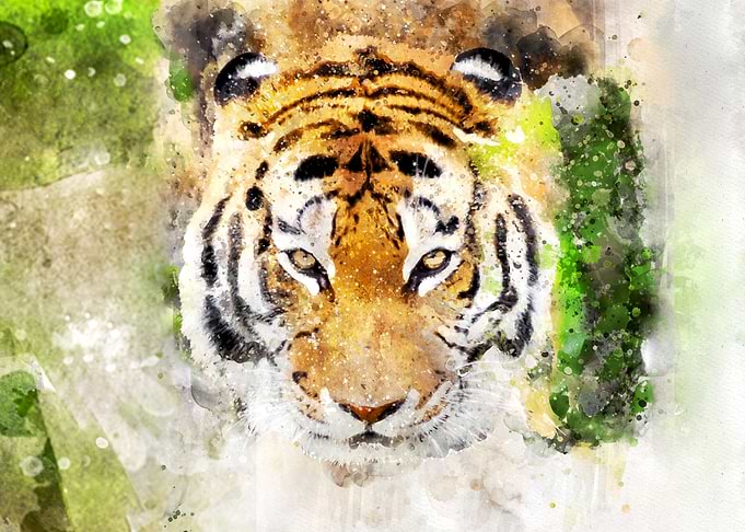 Watercolor Tiger