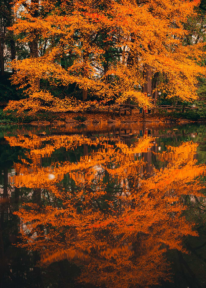 Nature