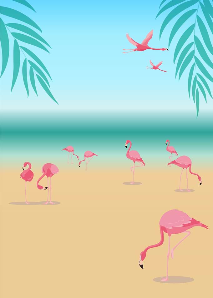The Pink Flamingo VI