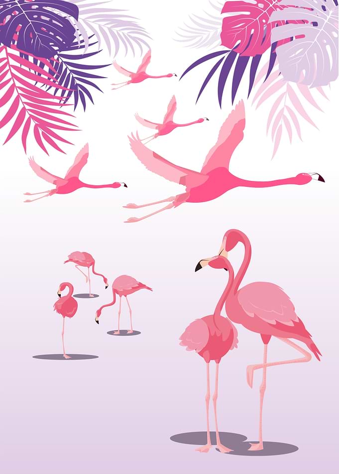 The Pink Flamingo