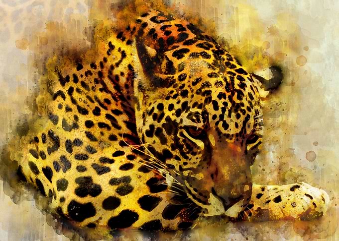 Watercolor Leopard