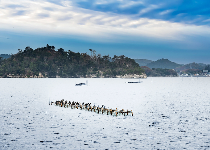 Marine Aquaculture Scaffol