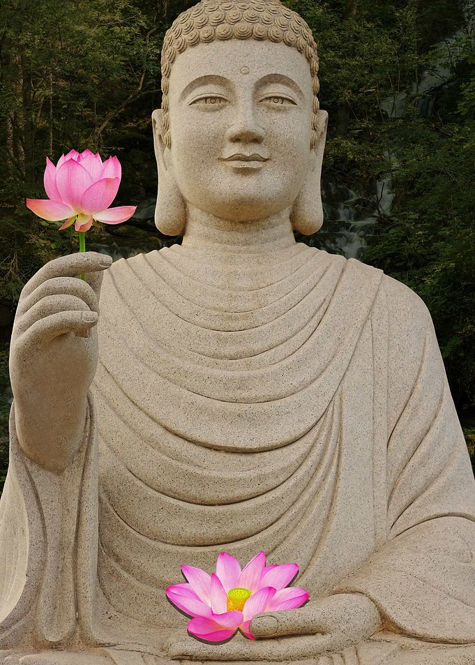 Buddha Pink Lotus Flowers
