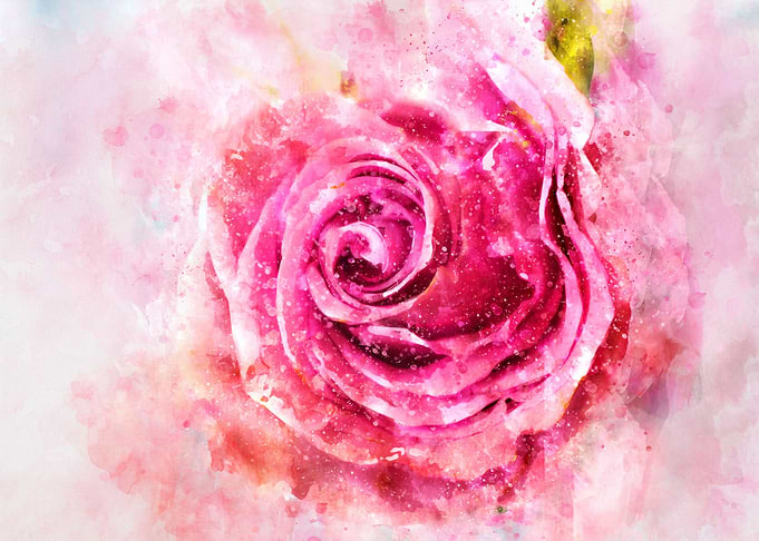 Watercolor Rose