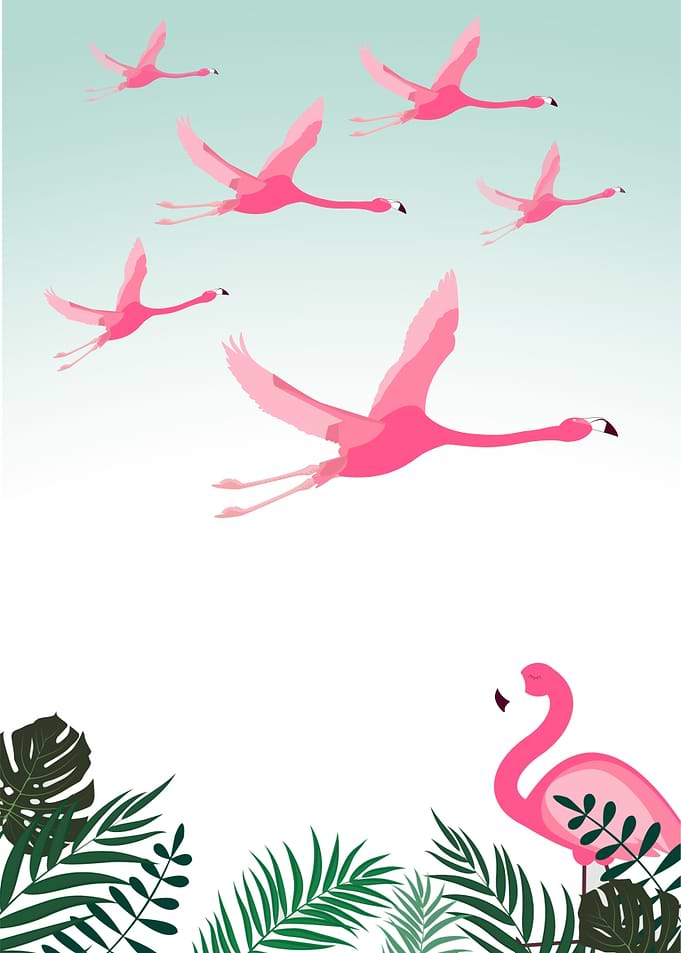 The Pink Flamingo I
