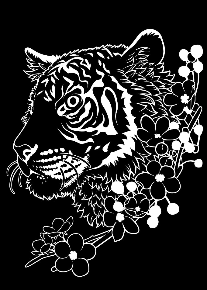 Tiger in minimalist white