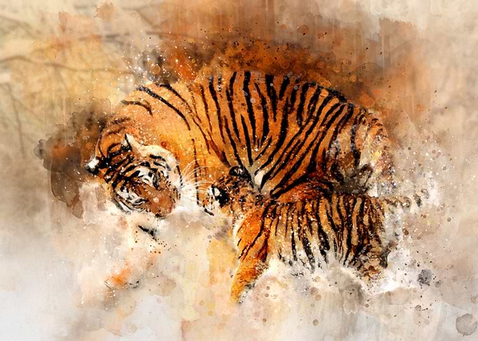 Watercolor Tiger