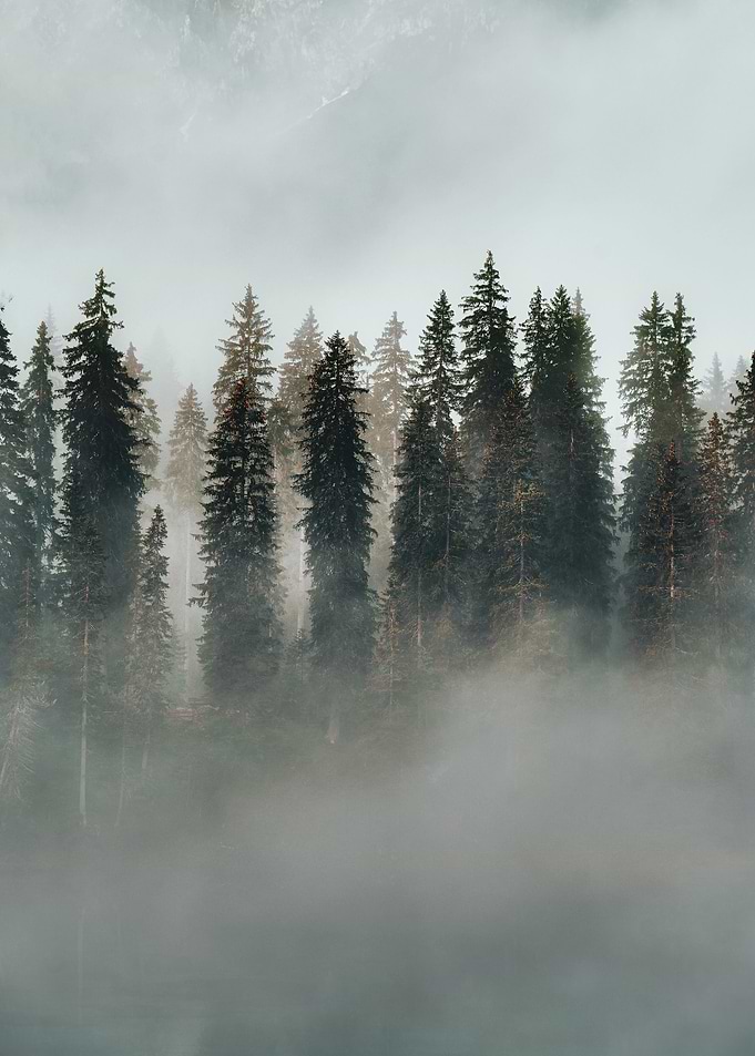 August in the morning