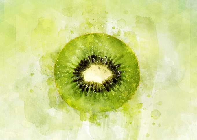 Watercolor Kiwi