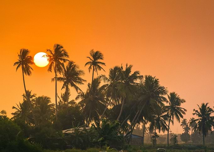 Tropical Sunset