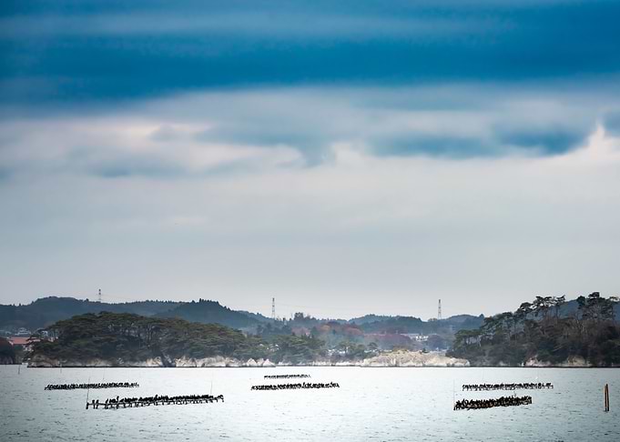 Marine Aquaculture Scaffol