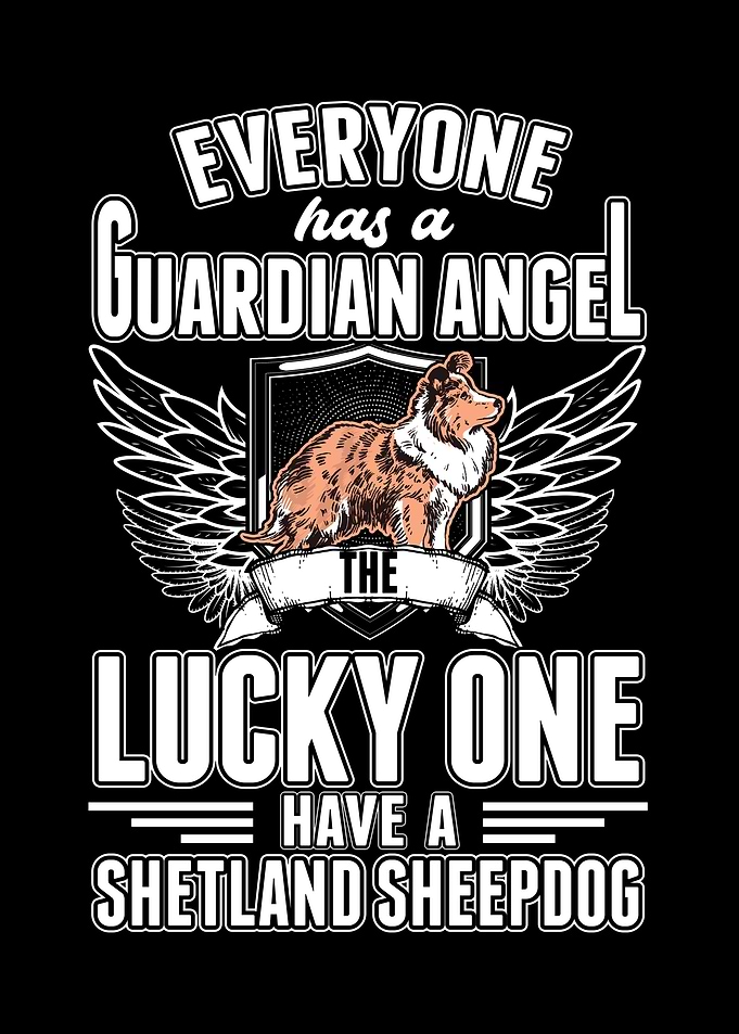 Shetland Sheepdog Guardian