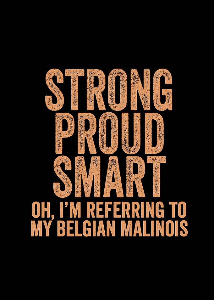 Belgian Malinois