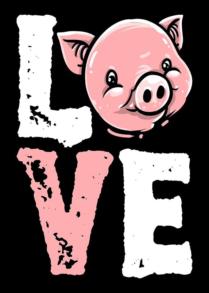 Pig Farm Farmer