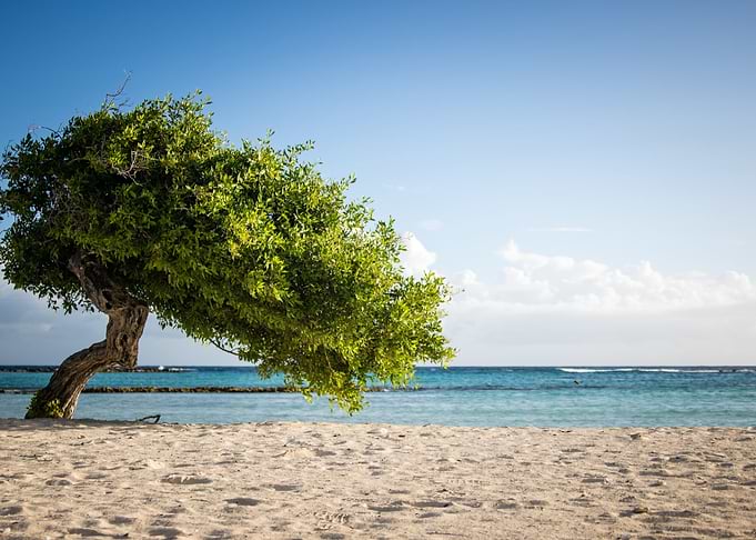 Summer Beach