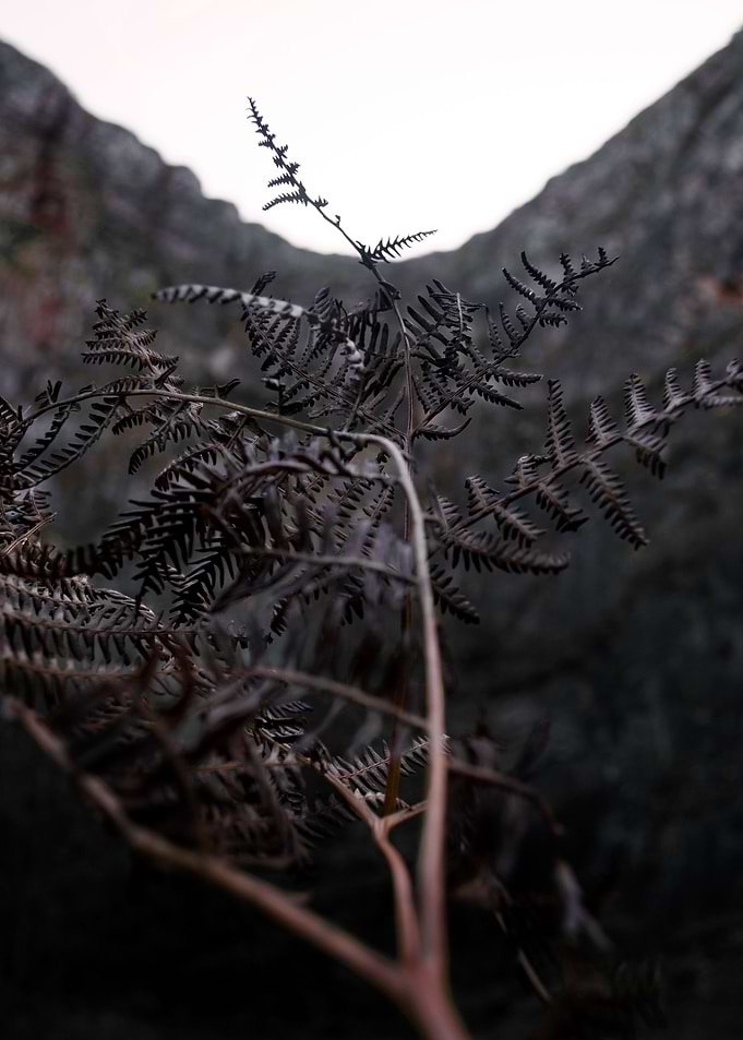 Brixham Quarry