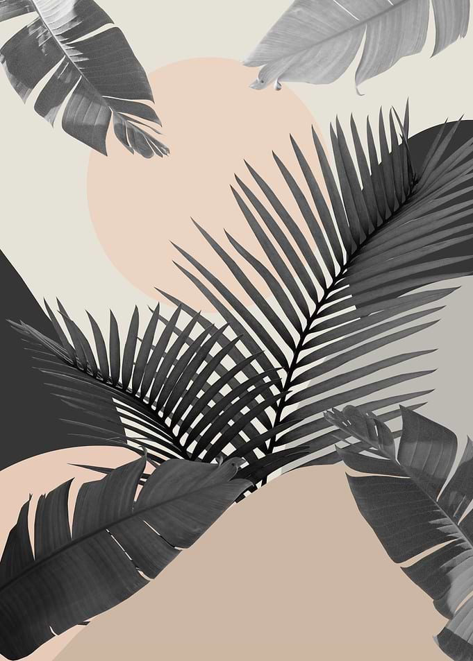 Intertwined Palm Leaves 2