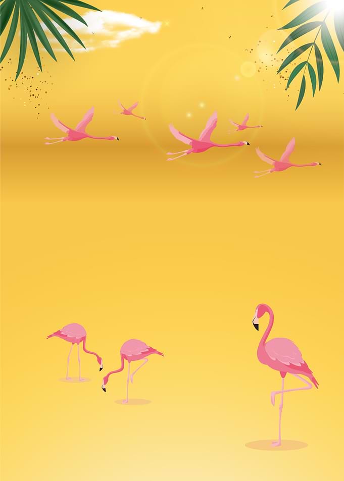 The Pink Flamingo