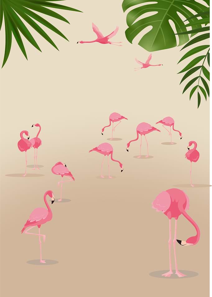 The Pink Flamingo