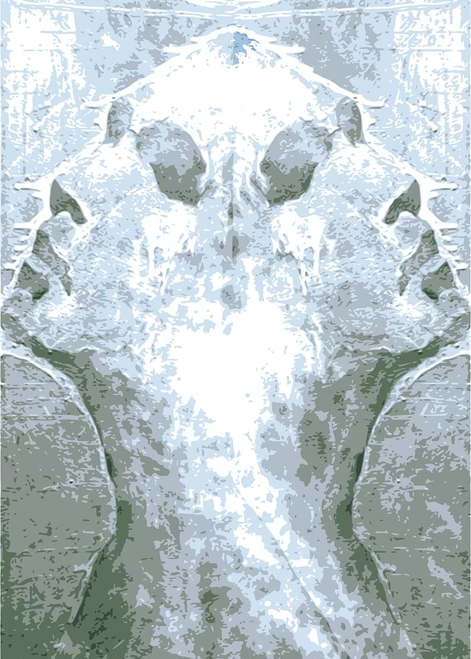 Freedom Contemplation