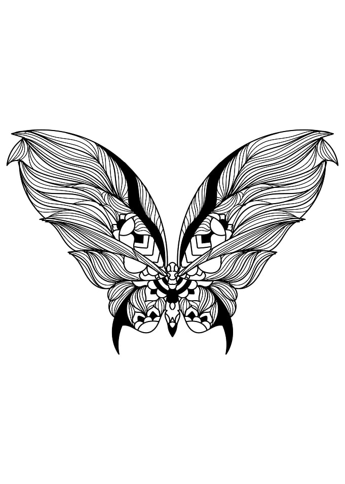Butterfly Mandala