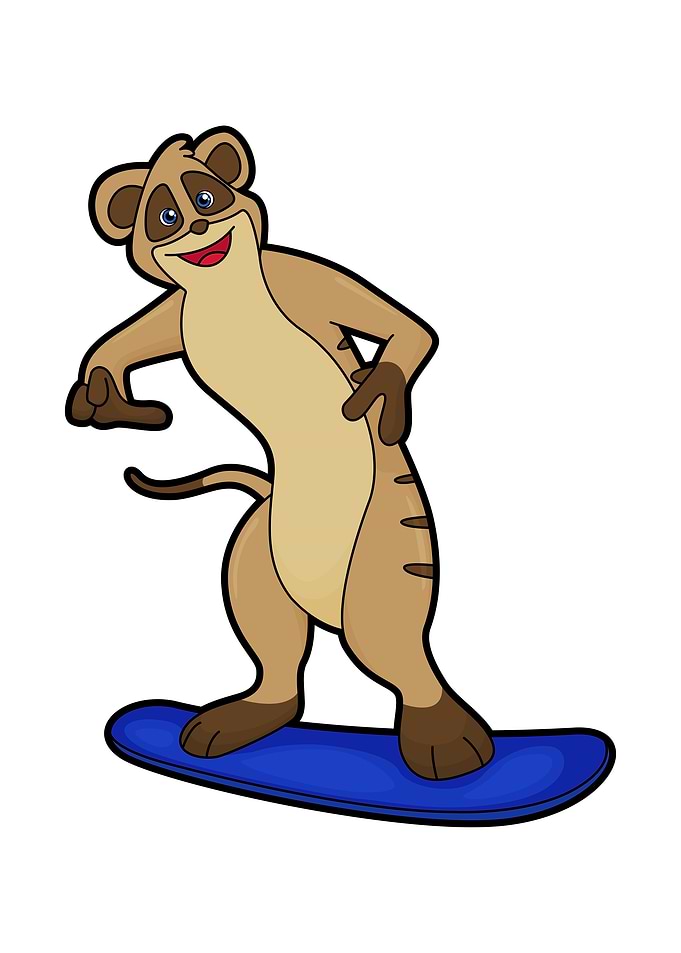 Meerkat Snowboard Sports