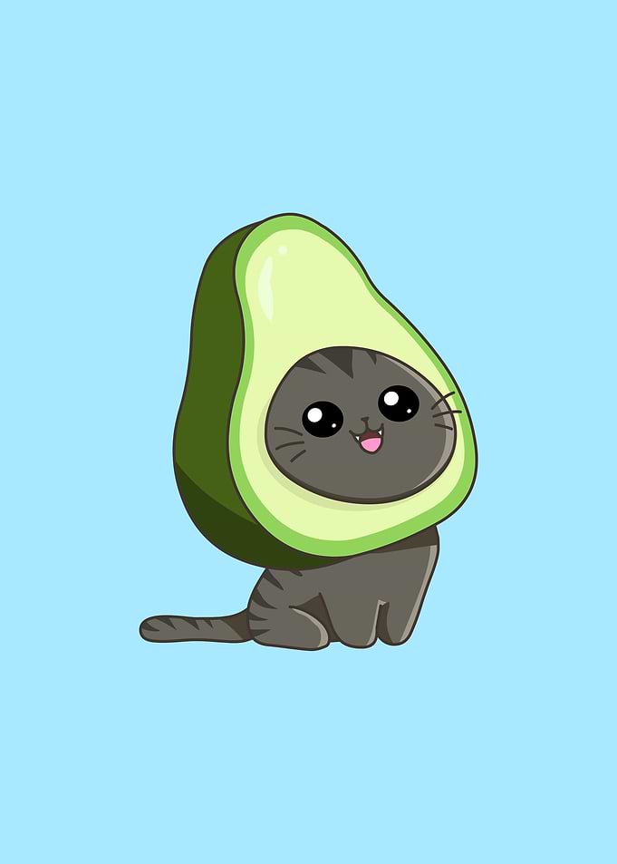 Avocado Cat