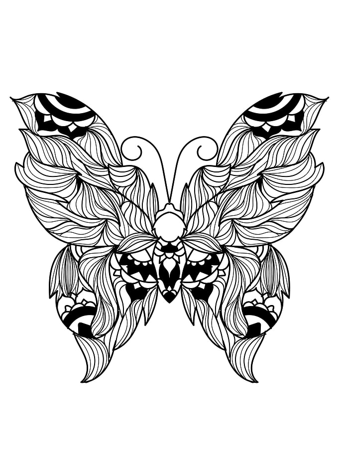Butterfly