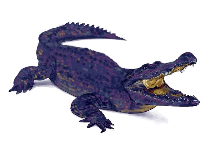 Crocodile Animal painted
