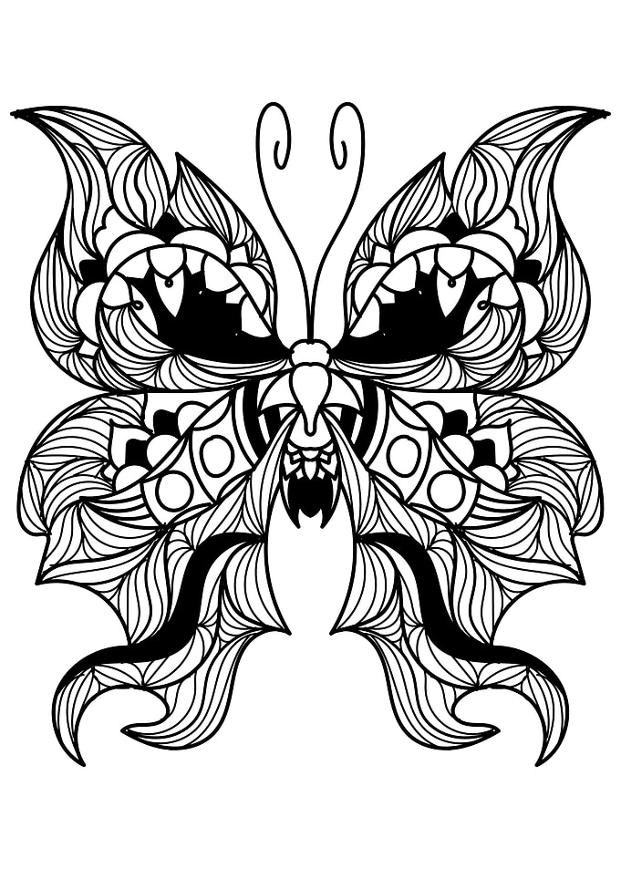 Butterfly