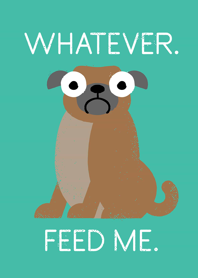 The Pugly Truth