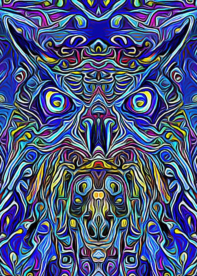 Owl Fantasy