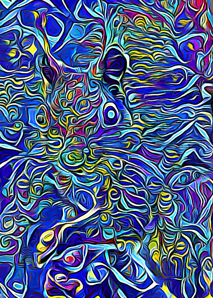 Squirrel fantasy