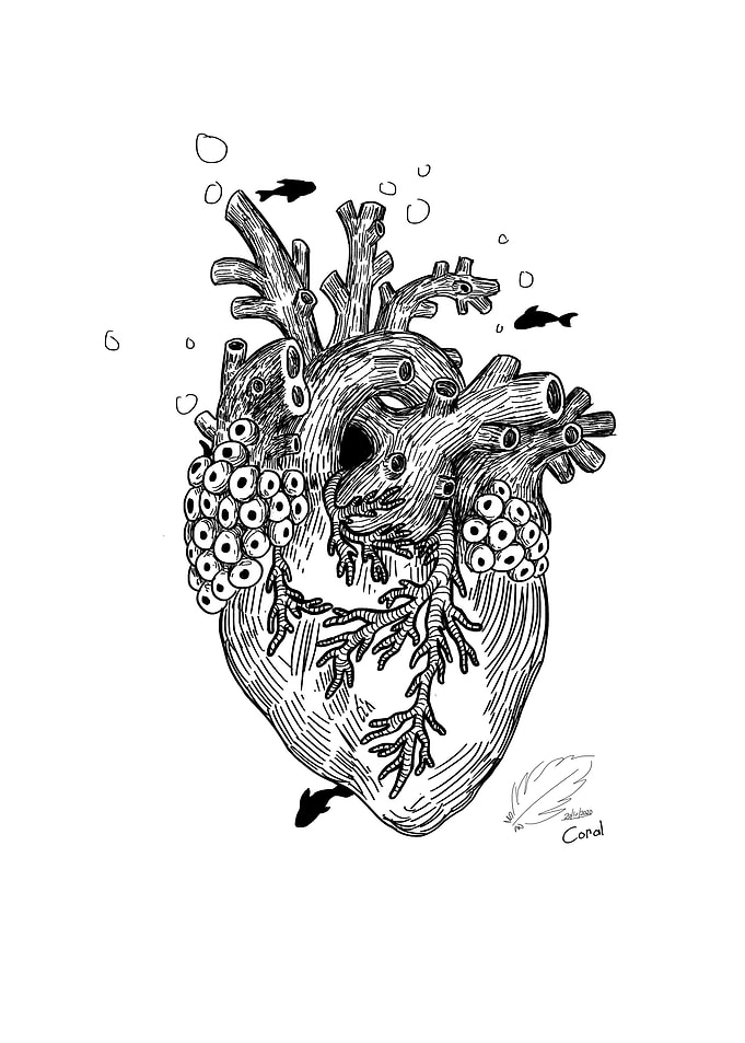 Coral heart