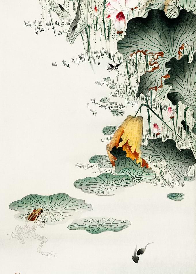Frog with Tadpoles