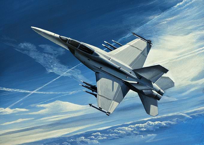 F 18 Super Hornet