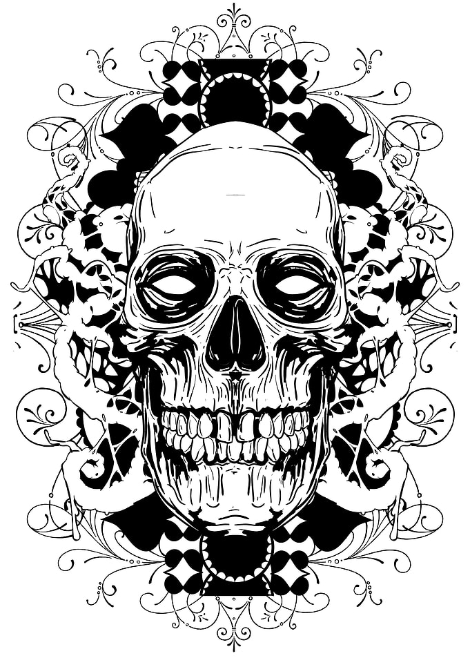 skull pop art