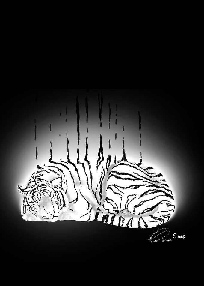 Sleep